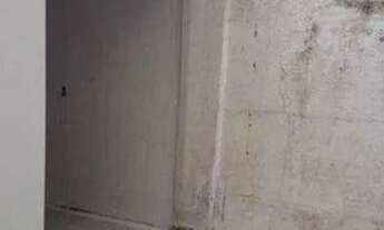 Imagem 7: Loja para alugar, 208 m² por R$ 6.714,36/mês - Barra Funda - São Paulo/SP