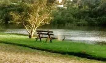 Imagem 4: Vendo ou Permuro