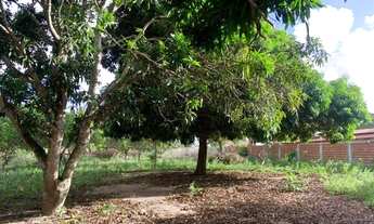 Imagem 4: Granja em Macaíba/RN