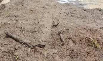 Imagem: Último lote à venda