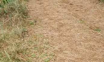 Imagem 7: Terreno 5 hectares