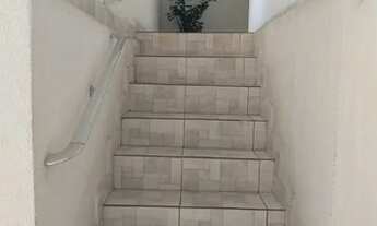 Imagem 7: Kit praca da arvore