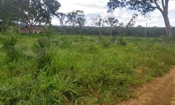 Imagem 5: Fazenda Sitio Roça Chacara Alqueire Venda Tocantins Setor Região Cidade