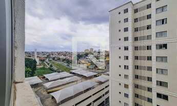 Imagem 6: Apartamento à Venda - Santa Amélia, 2 Quartos, 50 m2