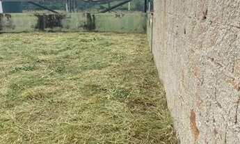 Imagem 3: Lote Loteamento Aabb