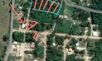 Imagem 4: TERRENOS 10X30 ALTER DO CHÃO