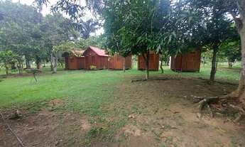 Imagem 3: Sítio top na Am010, Rio Preto da Eva com 500.000m2 valor R$ 900mil