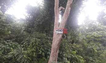 Imagem 3: TERRENOS 10X30 ALTER DO CHÃO