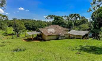 Imagem 6: Chácara Comercial/Residencial para Venda no Campo Alto em Tijucas Do Sul, 278846.62m²