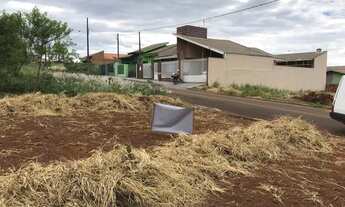 Imagem 4: Terreno pronto para construir