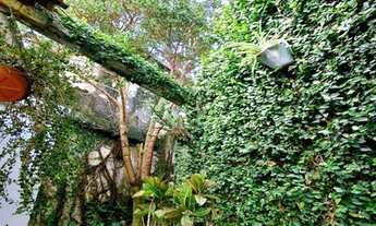 Imagem 7: SÃO PAULO - Casa Padrão - VILA FIRMIANO PINTO