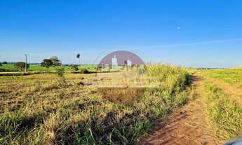 Imagem 6: Fazenda à venda na região de Jales com 220 alqueires