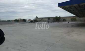 Imagem 5: Guarulhos - Galpão/Depósito/Armazém - Jardim Castanha