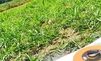 Imagem: Terreno para venda tem 500 metros quadrados