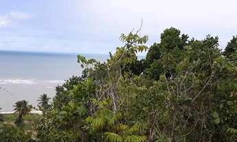 Imagem 5: Terreno com vista para o mar próximo à Pitinga
