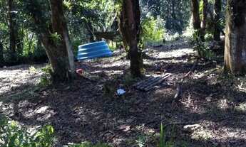 Imagem 6: Vendo chácara na Br 277 em sjp