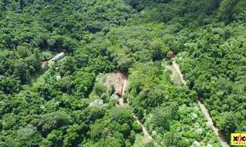 Imagem 4: Sítio / Chácara para Venda em Nova Petrópolis, Feliz lembrança, 2 dormitórios, 1 banheiro