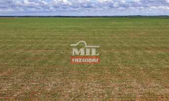 Imagem 6: Fazenda 75 alqueires (363 hectares) Acreuna - Go