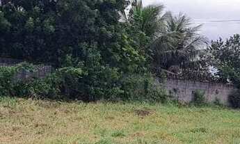 Imagem 3: Vendo excelente terreno em Conceição do jacuipe