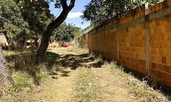Imagem 3: Lote! Capoeira do bálsamo! Água de coco! Lago norte!