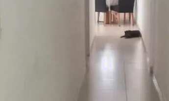 Imagem 2: CASARÃO NO CENTRO DE SAO BRAZ