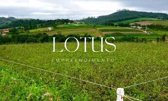 Imagem 2: 86C- COTIA NOVOS LOTES DISPONÍVEIS