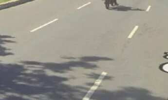 Imagem 2: Loja Galpão / depósito com venda por R$80.000