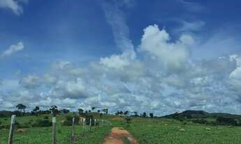 Imagem: Fazenda 215 alqueires em Montivu Goiás