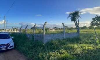 Imagem 5: Terreno plano, pronto para sítio ou chácara, há 900 metros da BR