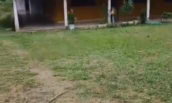 Imagem 3: Fazenda 17 alqueires em Orizona-Go