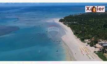 Imagem 5: Terreno em milagres alagoas