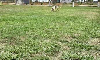 Imagem 5: Chácara no Rodeador