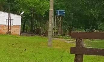 Imagem: SÍTIO 27,3 HECT. SADIA 2 Pego casa e veículo