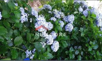 Imagem 5: Lote em condomínio em H92w+f2 São Francisco de Paula, Rs - Alpes - São Francisco de Paula