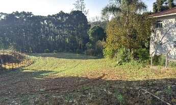 Imagem: Terreno colônia murici
