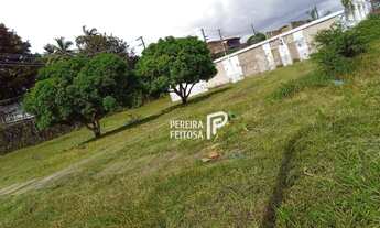 Imagem 3: Terreno à venda, 8607 m² por R$ 1.500.000,00 - Sítio Leal - São Luís/MA