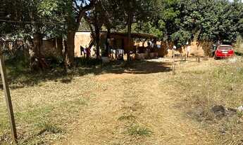 Imagem 5: Lote! Capoeira do bálsamo! Água de coco! Lago norte!