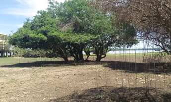 Imagem 4: Vendo terreno no pantanal Baía Siá Mariana