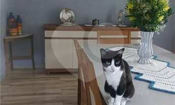 Imagem 7: Casa com 3 quartos à venda em Vila Industrial - SP