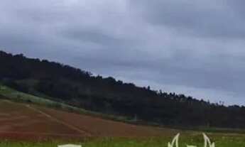 Imagem 3: Casa de condomínio para venda tem 500 metros quadrados