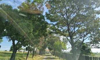 Imagem 4: Sítio com 5 dormitórios à venda, 309000 m² - Morro do Alto - Itapetininga/SP