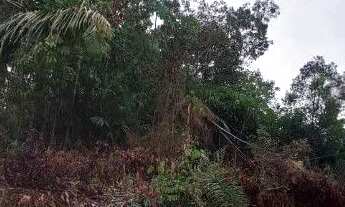 Imagem 2: Terreno a Venda na Estrada da Vila Paricatuba . Oferecendo pra um amigo