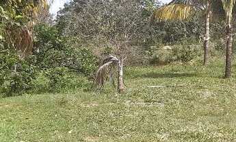 Imagem 5: Sítio 5 alqueires município de cristalina