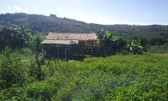 Imagem 4: Terreno na fazenda curimã em Itaporanga