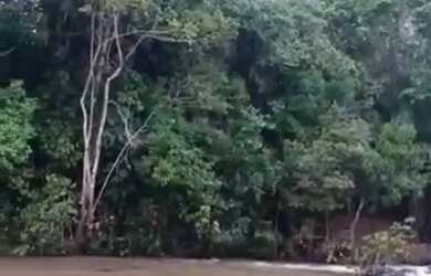 Imagem 2: Vendo Fazenda em Joaquim Gomes - Alagoas