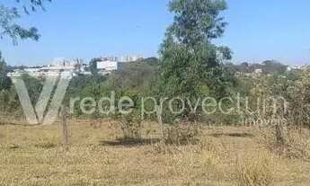 Imagem 4: Terreno a venda em Paulinia