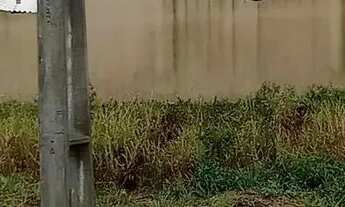 Imagem 4: Lote em null Rua Torquato Neto - Veredas - Campos dos Goytacazes/RJ