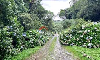 Imagem 7: Lote em Rua 21 - Alpes - São Francisco de Paula/RS