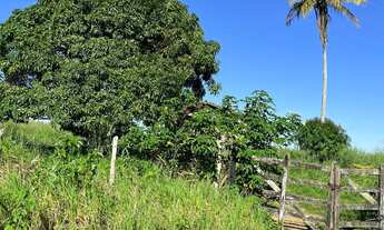 Imagem 4: Vendo Sítio Chácara com venda por R$800.000