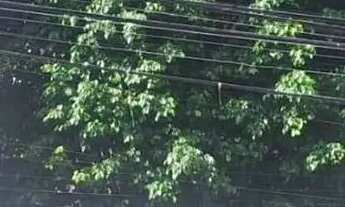 Imagem 3: Apartamento para Venda em Fortaleza, Engenheiro Luciano Cavalcante, 3 dormitórios, 1 suíte